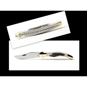 Díszrugó II. Hamarosan rendelhető